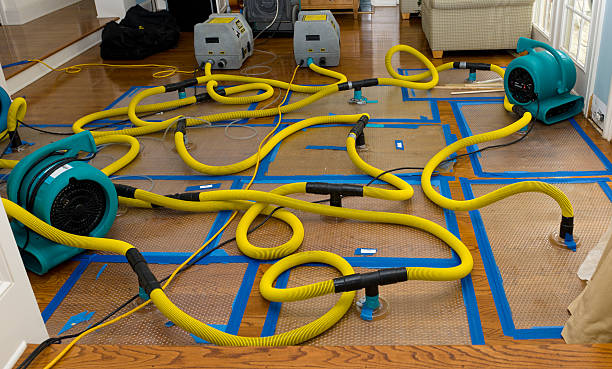 Professional Crawl Space Water Removal technician working in Slovan, PA